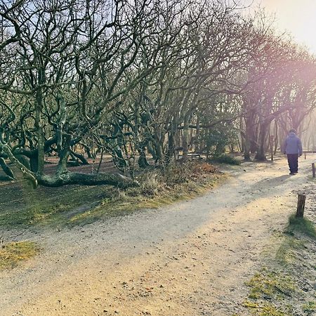Beach & Forest Retreat -Domburg- أوستكابيلي المظهر الخارجي الصورة