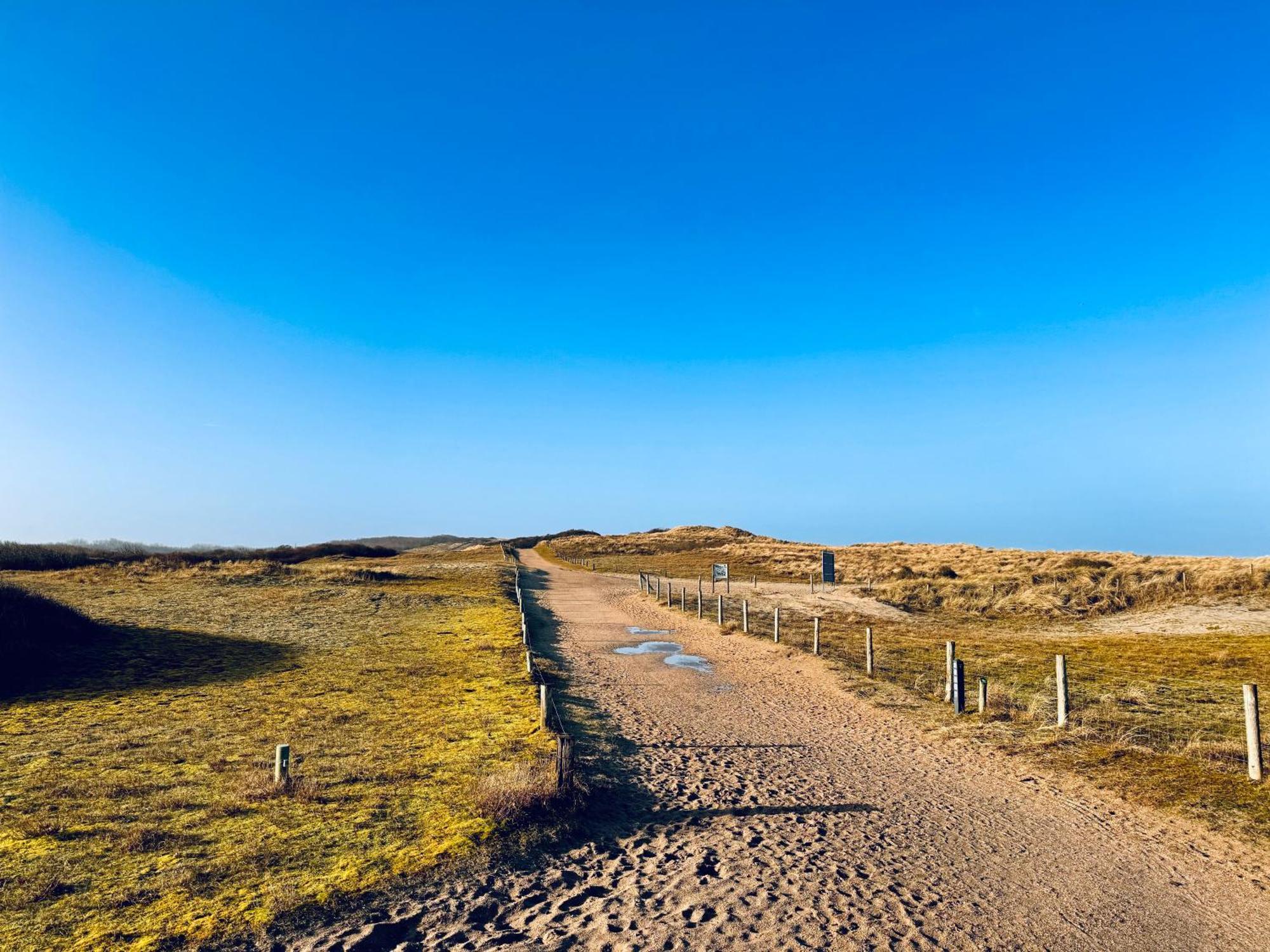 Beach & Forest Retreat -Domburg- أوستكابيلي المظهر الخارجي الصورة