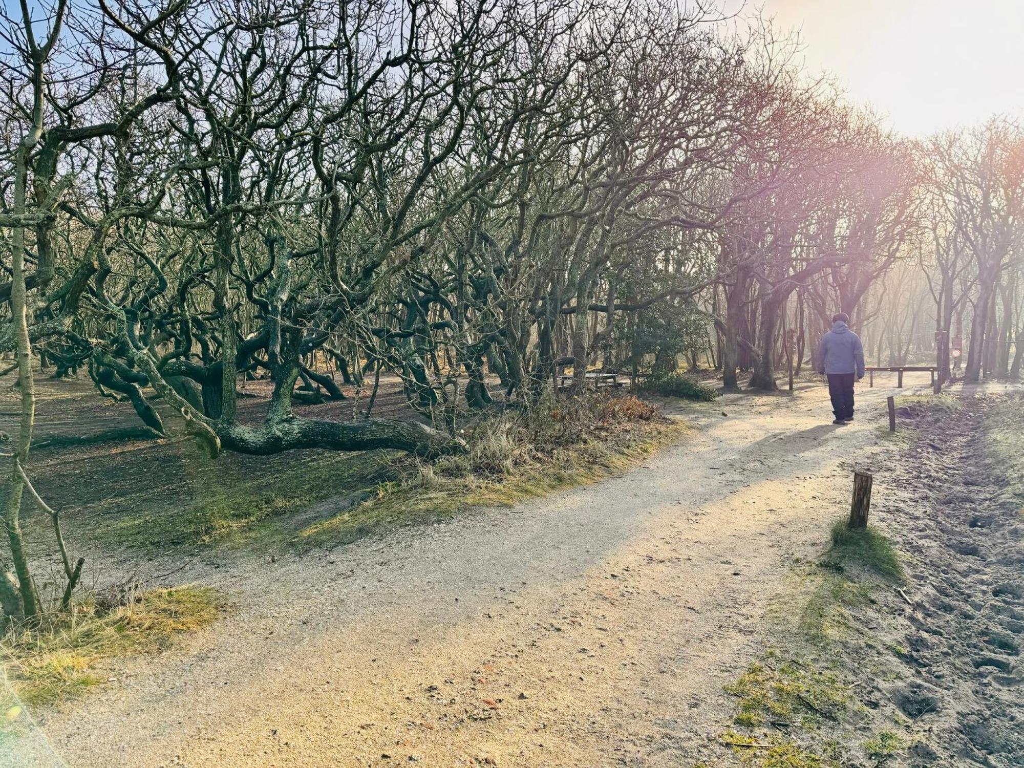 Beach & Forest Retreat -Domburg- أوستكابيلي المظهر الخارجي الصورة