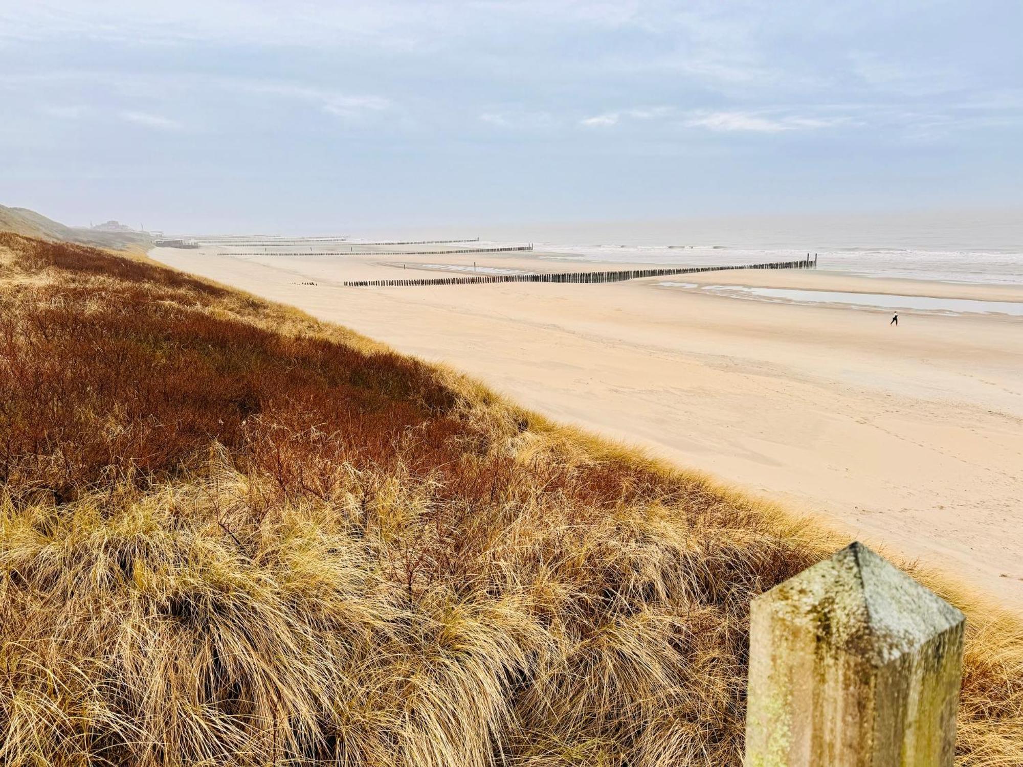 Beach & Forest Retreat -Domburg- أوستكابيلي المظهر الخارجي الصورة