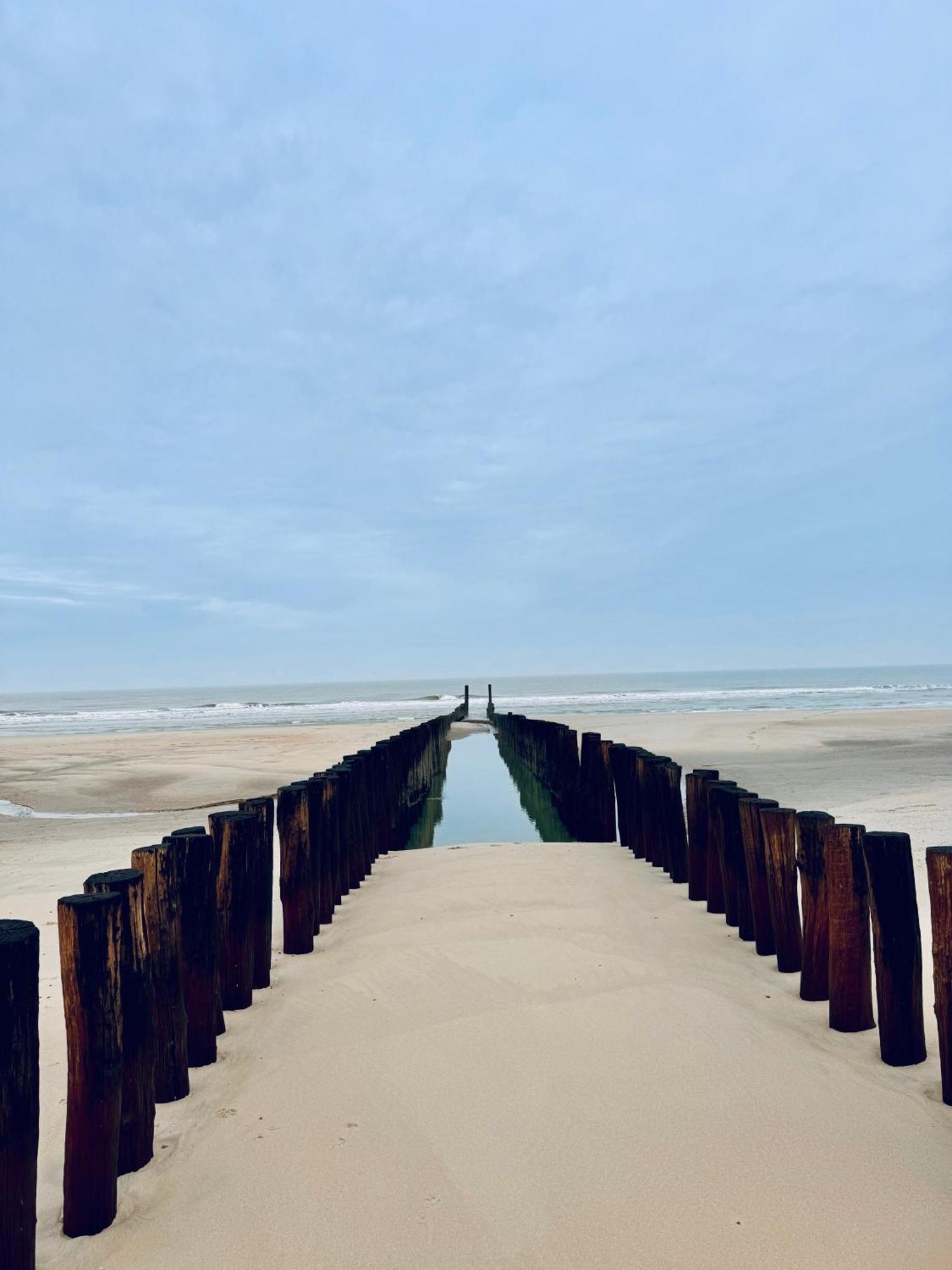 Beach & Forest Retreat -Domburg- أوستكابيلي المظهر الخارجي الصورة