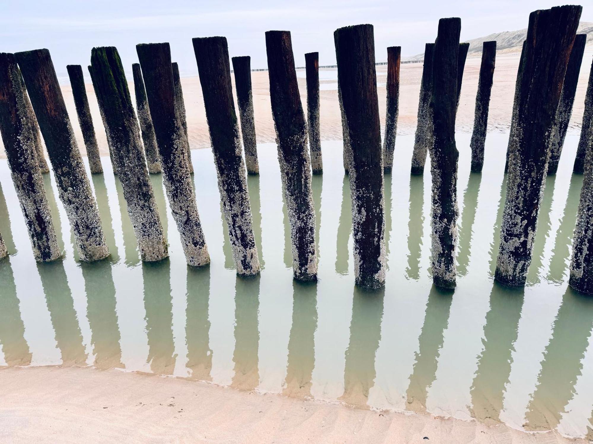 Beach & Forest Retreat -Domburg- أوستكابيلي المظهر الخارجي الصورة