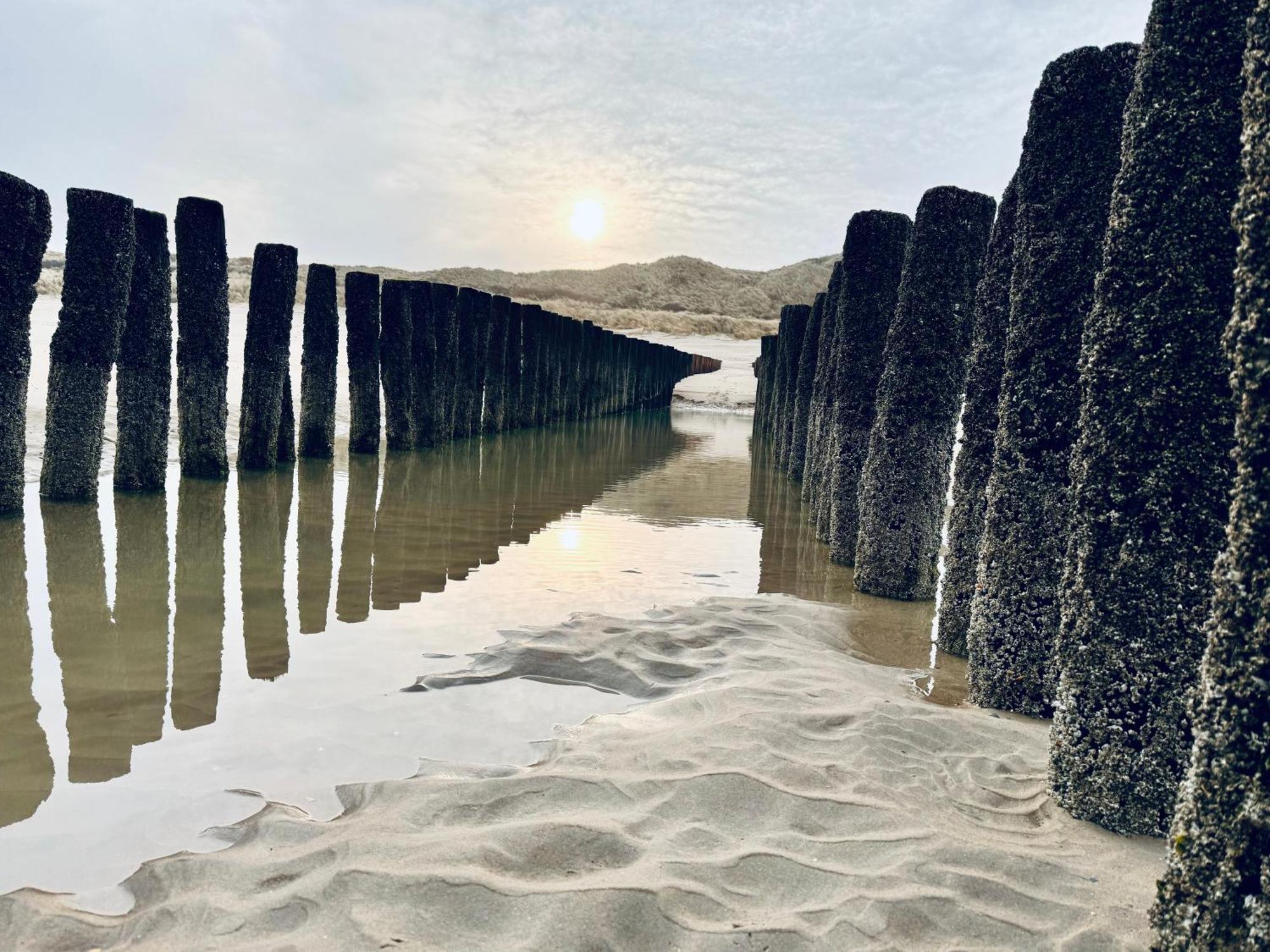 Beach & Forest Retreat -Domburg- أوستكابيلي المظهر الخارجي الصورة