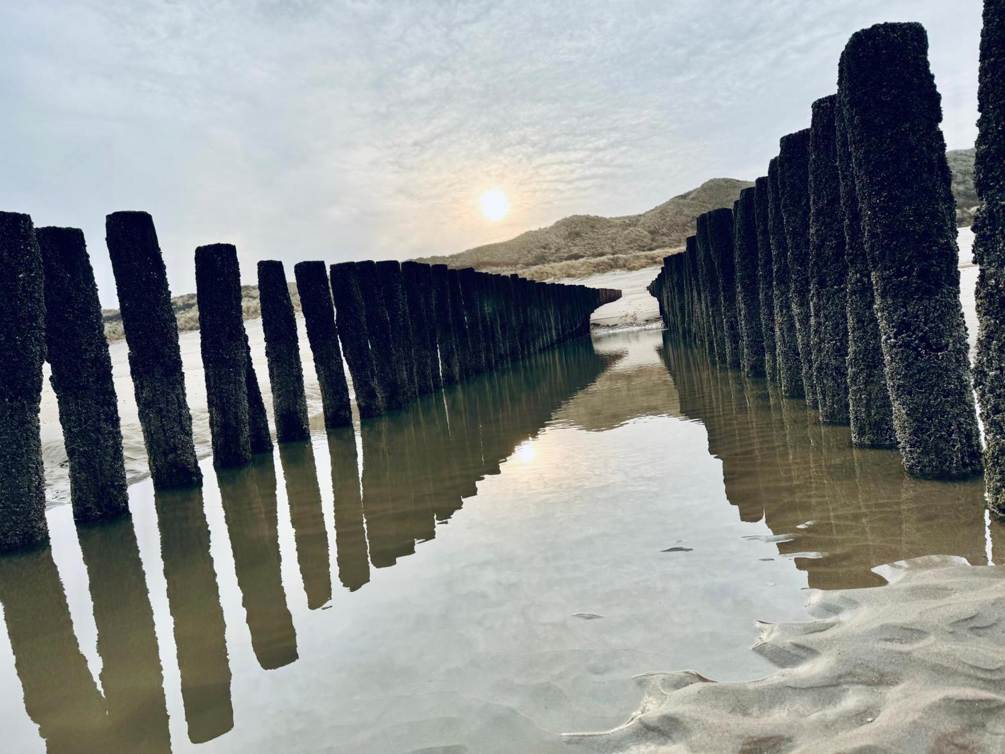 Beach & Forest Retreat -Domburg- أوستكابيلي المظهر الخارجي الصورة