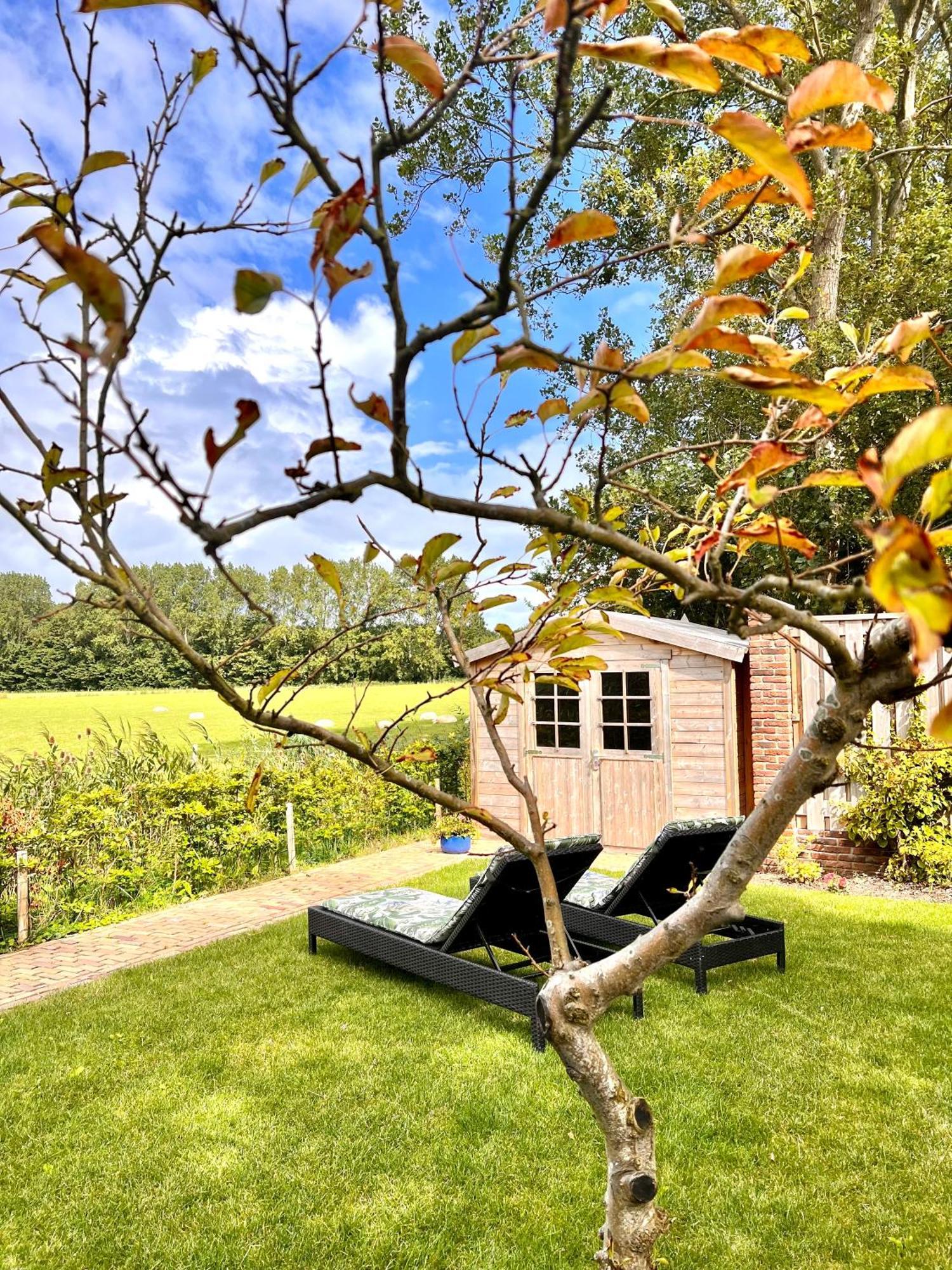 Beach & Forest Retreat -Domburg- أوستكابيلي المظهر الخارجي الصورة