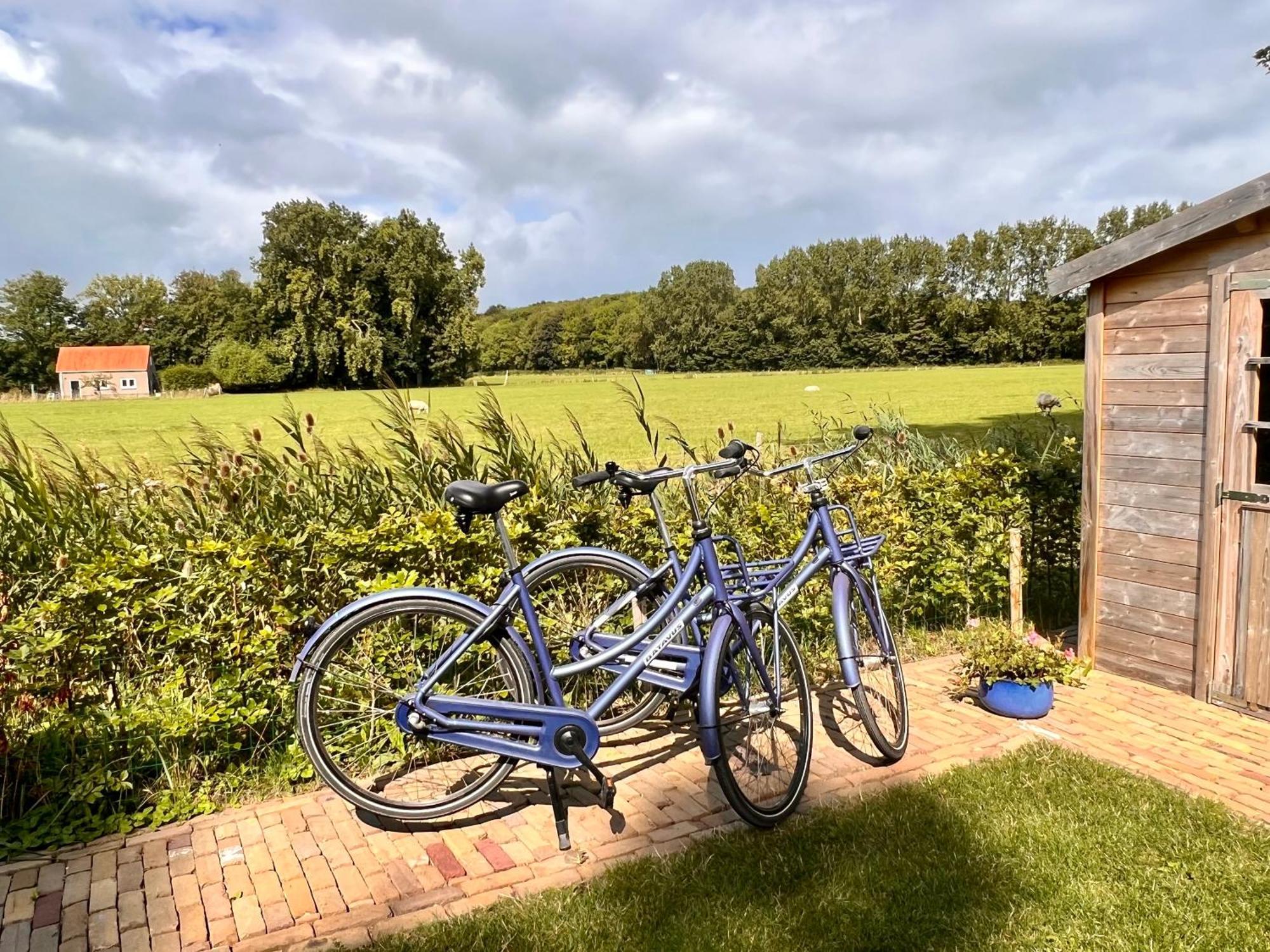 Beach & Forest Retreat -Domburg- أوستكابيلي المظهر الخارجي الصورة